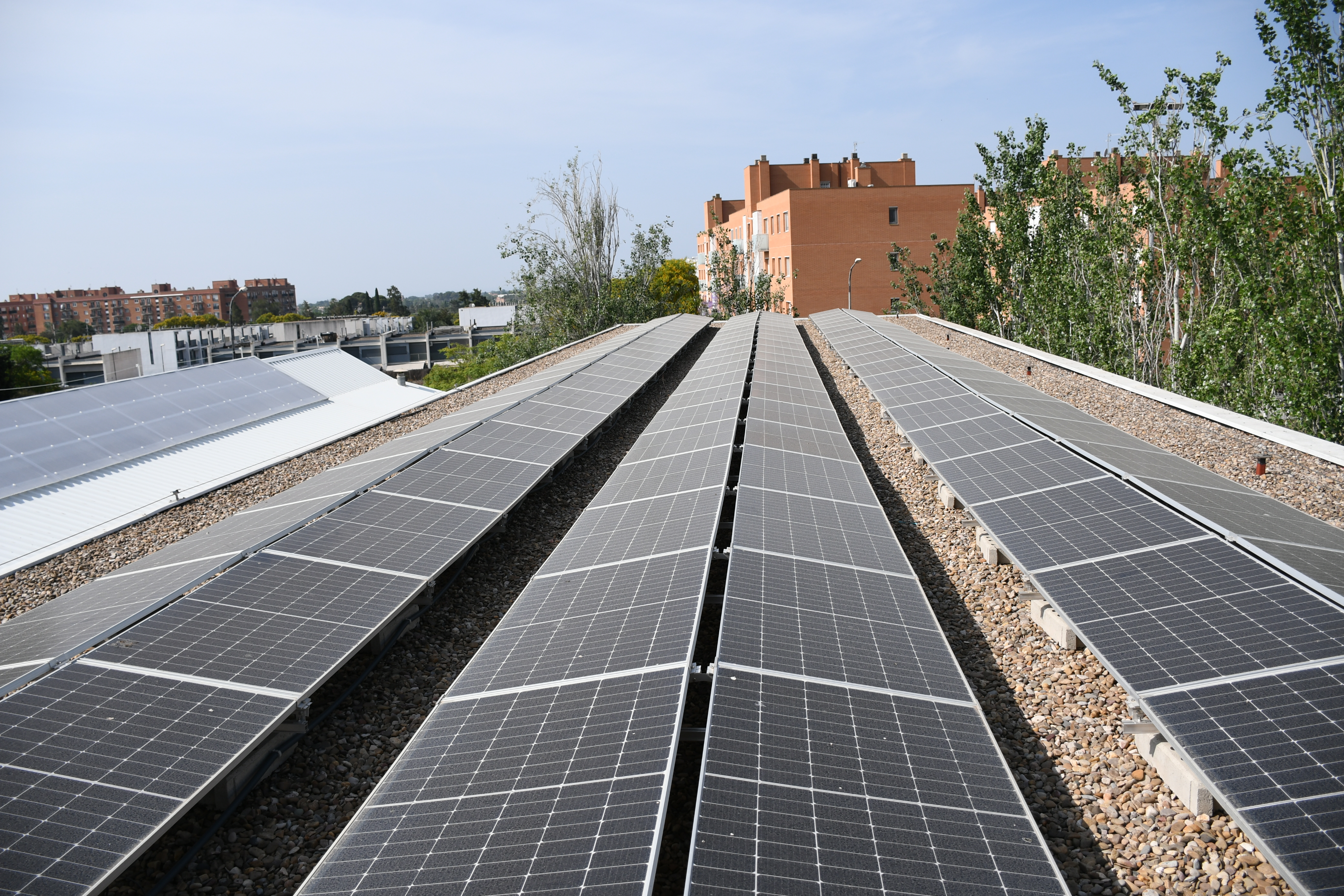 Instal·lació_solar_fotovoltaica_IMFE_Mas_Carandell-3-20250613115617.JPG
